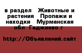  в раздел : Животные и растения » Пропажи и находки . Мурманская обл.,Гаджиево г.